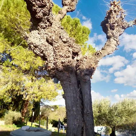 Maison Cosy A Avec Piscine Cardet