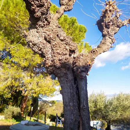 Maison Cosy A Avec Piscine Nyaraló Cardet