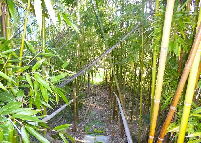 Vakantiehuis Maison Cosy A Avec Piscine